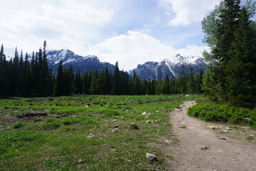 Trail at the Laurance S. Rockefeller Preserve in Grand Teton National Park - Wyoming, USA