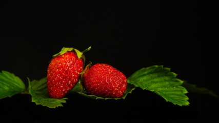 Two large red ripe juicy strawberries lying on three strawberry leaves against a black background.