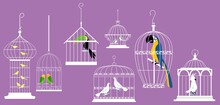 Exotic Birds In Decorative Cages, EPS 8 Vector Illustration