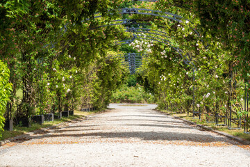 Canvas Print - Des jardins luxuriant