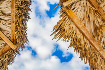 Blue sky and feather clouds showing between two sun beach umbrellas.