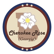 Georgia State With Cherokee Rose Flower