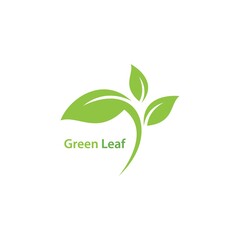 Wall Mural - Green leaf logo