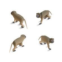 Isometric Monkeys