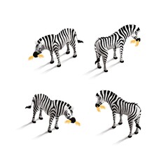 Wall Mural - Isometric zebra