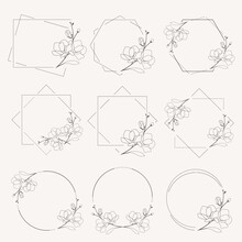 Doodle Line Art Magnolia Blooming Flower Minimal Frame For Banner Or Logo Collection