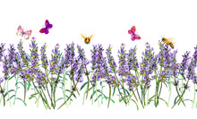 Lavender Seamless Frame Wirh Honey Bees, Butterflies. Watercolor Floral Repeating Stripe