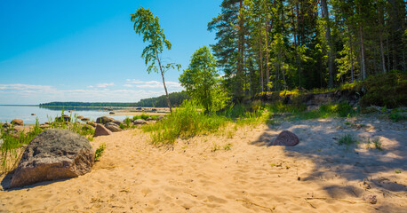 Gulf of Finland coast. Saint Petersburg, Russia.