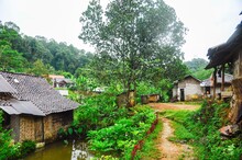 Beautiful Shot Of A Rural Road In A Poor Village Surrounded By A Jungle