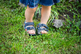 Fototapeta  - Baby Legs Of Girl Walking On Grass In Summer Close Up