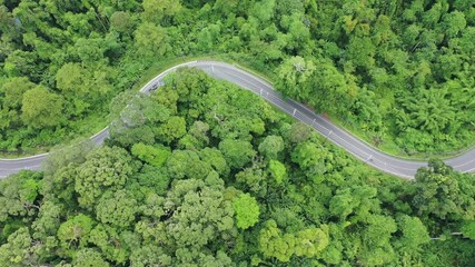 Wall Mural - Scenic road through forest with traffic driving. Aerial footage of cars and trucks on journey through countryside