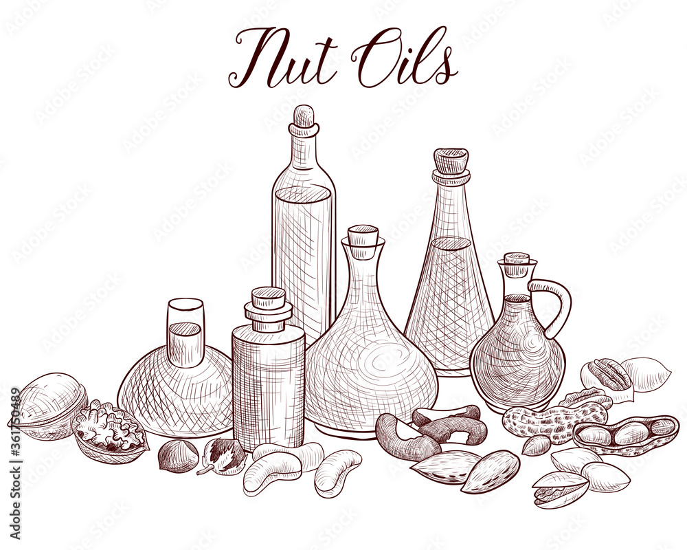 vector drawing nut oils Stock Vector | Adobe Stock