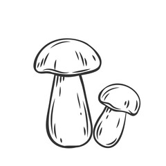 Canvas Print - Edible mushrooms boletus outline icon