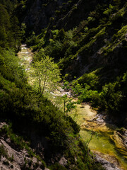 Wall Mural - River in the Oetschergraeben Gorge in Austria