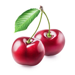 Two sour cherry berries with green stem and leaf isolated on white background. Full depth of field