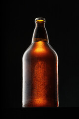 Beer bottle on dark background, copy space