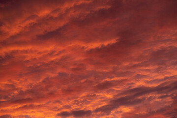 Pink clouds close up at sunset in the evening