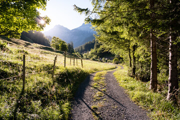 Wall Mural - Wanderweg im Morgenlicht, saftige Wiese mit Morgentau, Gegenlicht, Sonnenstrahlen, ländliche Idylle. Vom Kiental auf das Schilthorn, Piz Gloria.