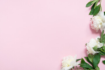 Wall Mural - border of pink peonies flowers on pink background. flat lay, top view, copy space