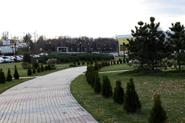 Wall Mural - park in the park