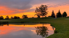 Beautiful Sunrise On Golf Course Tree Reflection In Pond