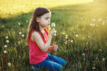 Cute adorable Caucasian girl blowing dandelions. Kid sitting in grass on meadow. Outdoors fun summer seasonal children activity. Child having fun outside. Happy childhood lifestyle.