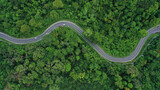 Fototapeta Uliczki - Scenic road through forest with traffic driving.