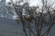 © BenHur - TIMÓTEO VALE DO AÇO CORONEL FABRICIANO