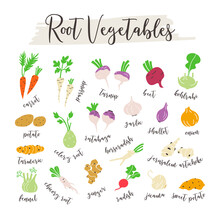 Root Vegetables Hand Drawn Icons Set Illustration With Text.