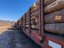 Timber Truck Loading Wagons At The Railway Station. Export Of Wood. Loading And Transport. Transport Logging And Forestry Industry.