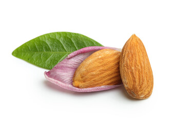 Almonds nuts with leaf isolated