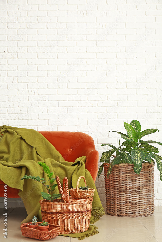 Sofa with wicker baskets, houseplants and plaid in room