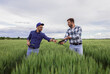 © Zoran Zeremski - Two farmers standing in green wheat field examining crop during the day.