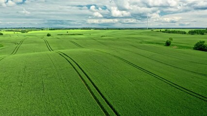 Wall Mural - stunning aerial view of green field with tractor tracks