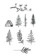 Woodlands Illustration and drawings of pine trees, needles and branches along with a wooden cottage
