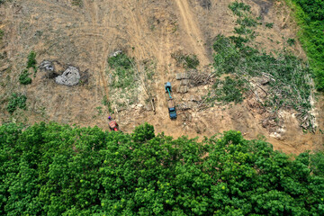 Wall Mural - Logging or deforestation of forest. Clearing land for agriculture