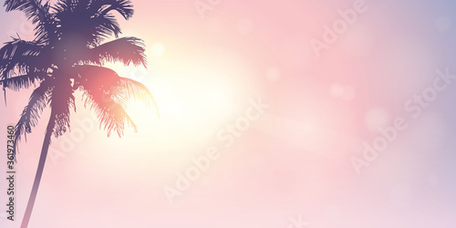 Fotografía palm trees silhouette on a sunny day summer holiday design vector illustration E