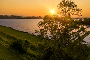 Wall Mural - Sunrise over a modern solar farm