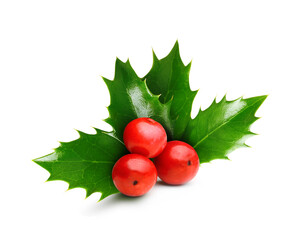 Holly berry leaves Christmas decoration