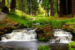 Long exposure of woodland stream waterfalls