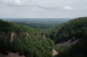 Wall Mural - The grand valley of Söderåsen national park during summer in southern Sweden