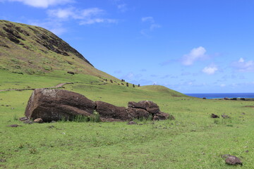 Sticker - Moaï couché dans la prairie, volcan Rano Raraku à l'île de Pâques