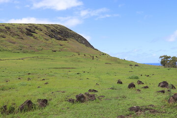 Poster - Pente du volcan Rano Raraku à l'île de Pâques