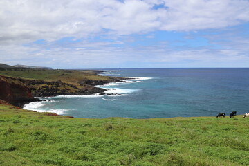 Wall Mural - Littoral et prairie à l'île de Pâques