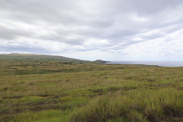 Wall Mural - Prairie à l'île de Pâques