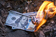 Three hundred dollar bills burn in the fire. Concept: recession, crisis, confusion, unhappiness, poverty. devaluation. Burning excess money. Excessive waste of money. Photo horizontal, close up.
