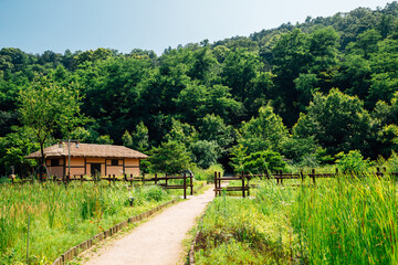 Wall Mural - Korea traditional house with green forest at Wolmi Park Traditional Garden in Incheon, Korea