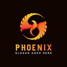 Awesome Phoenix Logo, Eagle, Dragon Logo Animal Logo Design