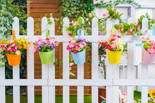 Hanging Flower Pots With Fence
