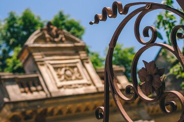 Wall Mural - Selective focus shot of a metallic fence and a beautifully carved building in the background